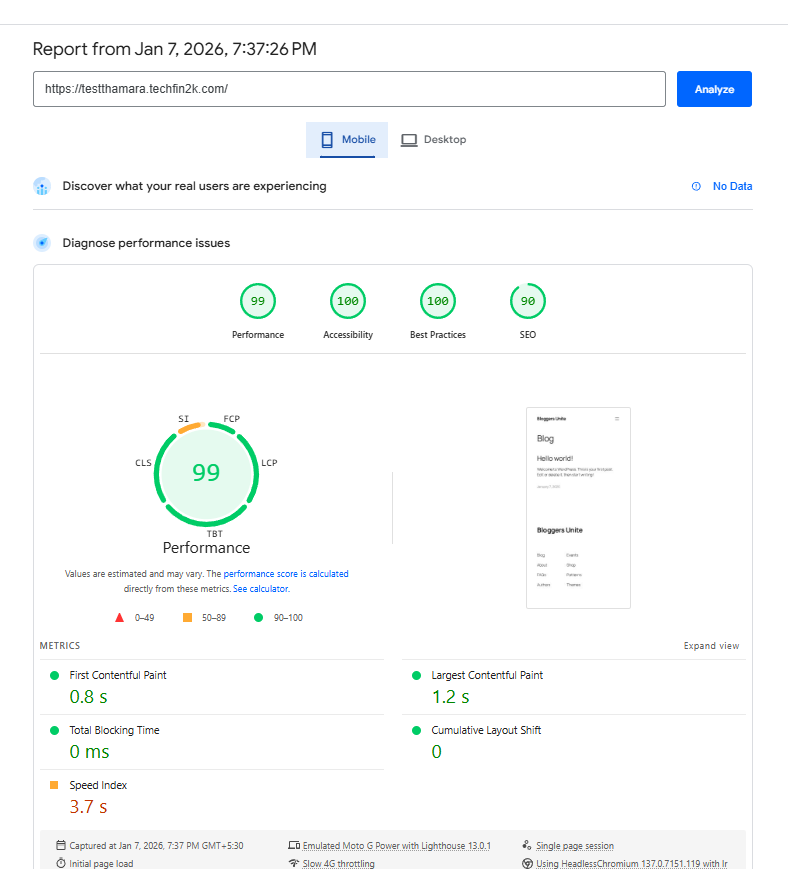 pagespeed insights mobile performance for blank wordpress site