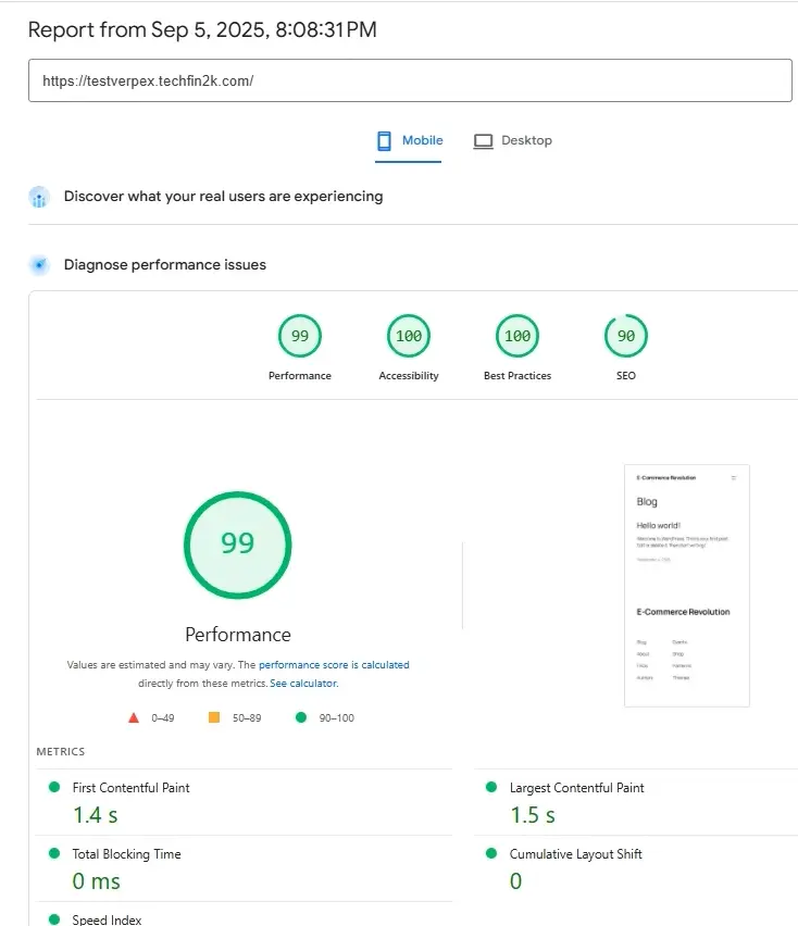 Google Pagespeed Insights test showing 100% performance score.