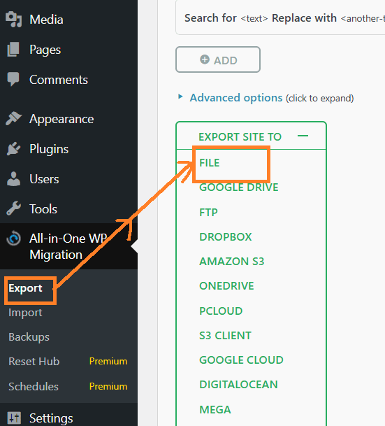 All-in-One WP Migration plugin menu showing 'Export' selected and the 'FILE' option highlighted as the destination.