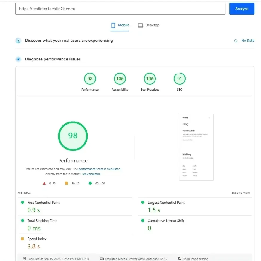 InterServer blank WordPress site PageSpeed Insights mobile score